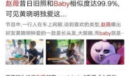 廉政大爆料完整视频,揭秘腐败内幕，视频揭露惊人真相